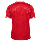Denmark National Team 2024 Home Replica Jersey - Red/White