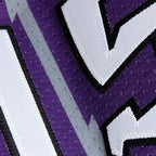 Vince Carter Toronto Raptors 1998/99 Throwback Authentic Jersey - Purple