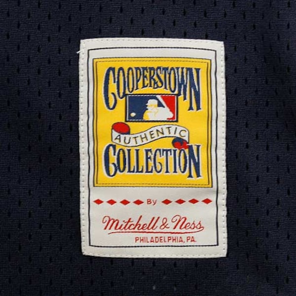 Don Mattingly New York Yankees 1995 Authentic Cooperstown Collection Mesh Batting Practice Jersey - Navy
