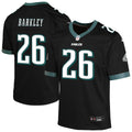 Saquon Barkley Philadelphia Eagles Nike Youth Alternate Game Jersey - Black/Kelly Green/Green/White