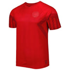 Denmark National Team 2022/23 Home Replica Jersey - Red