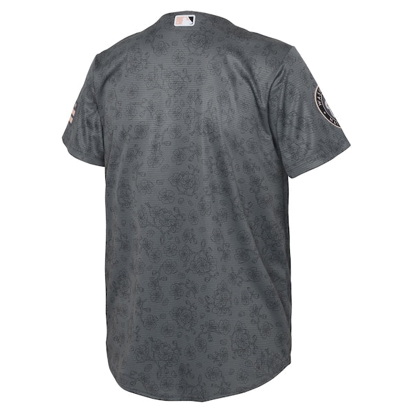 Washington Nationals Nike Youth 2022 City Connect Replica Jersey - Gray