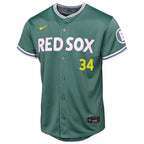David Ortiz Boston Red Sox Nike Youth 2025 City Connect Limited Retired Player Jersey - Green