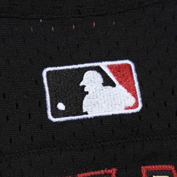 Craig Biggio Houston Astros Cooperstown Mesh Batting Practice Jersey - Black
