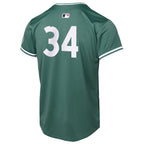 David Ortiz Boston Red Sox Nike Youth 2025 City Connect Limited Retired Player Jersey - Green